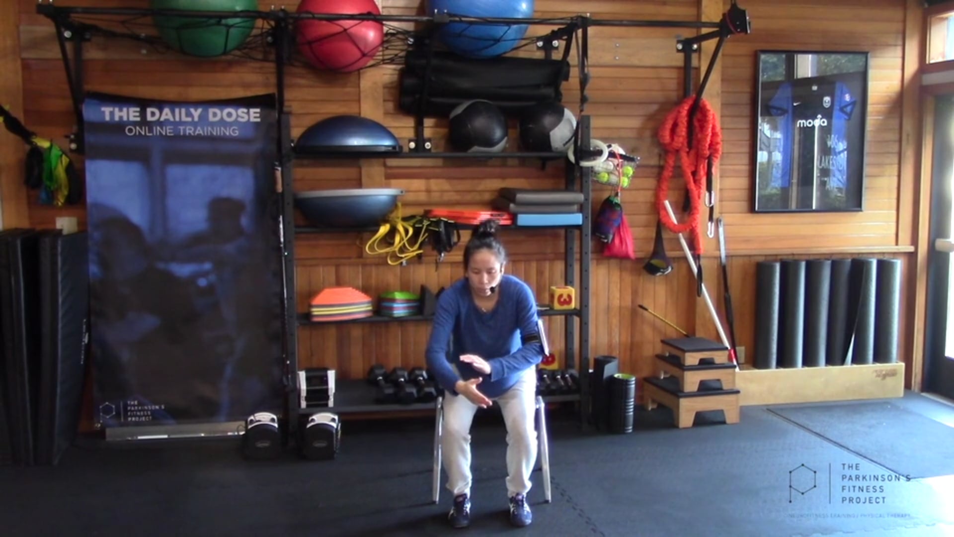 Quick Review of Form 8: Grasp Peacock's Tail