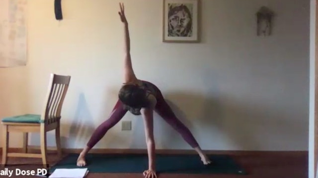 Yoga with Dana: 7.15.21