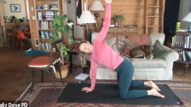 Yoga with Dana: 1.11.24