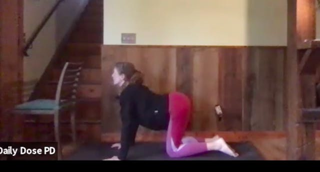 Yoga with Dana: 9.30.21