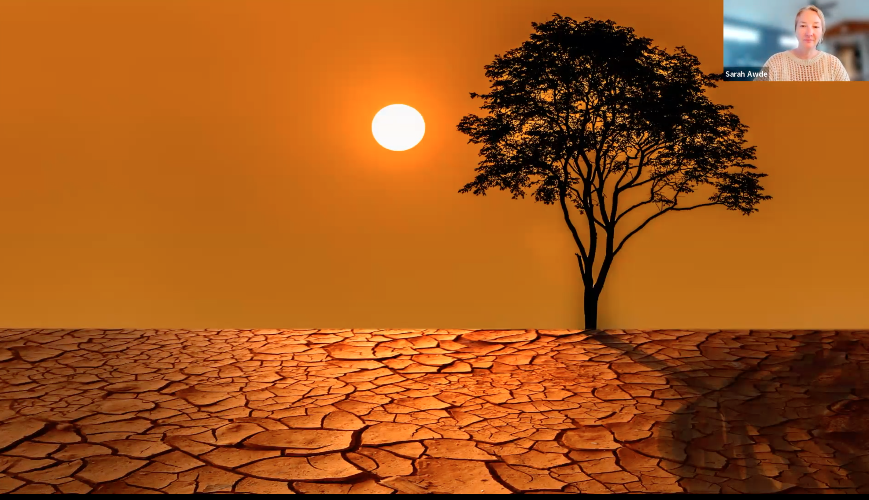 Voice Training: 5.30.24