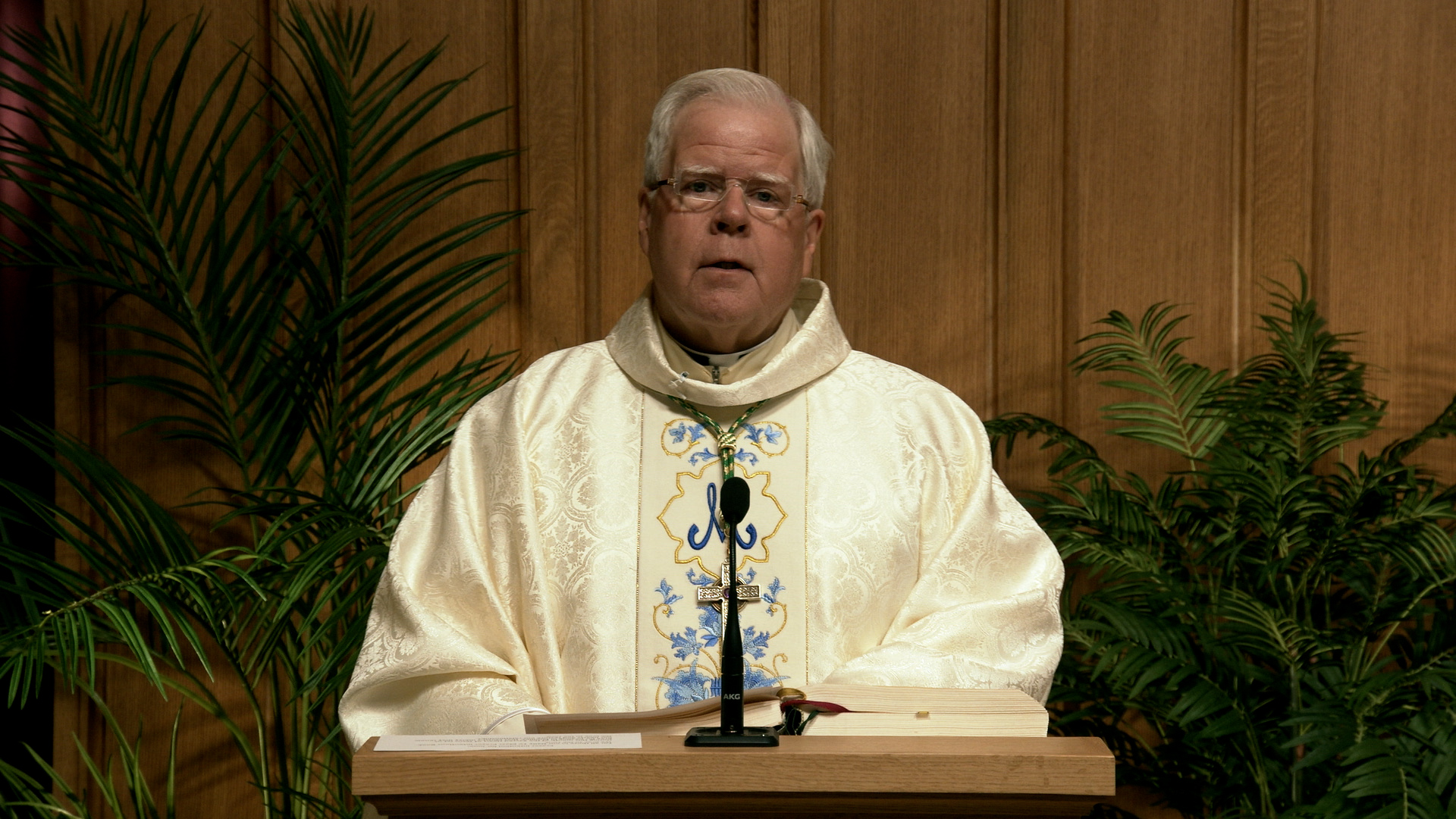 Daily TV Mass June  13, 2026