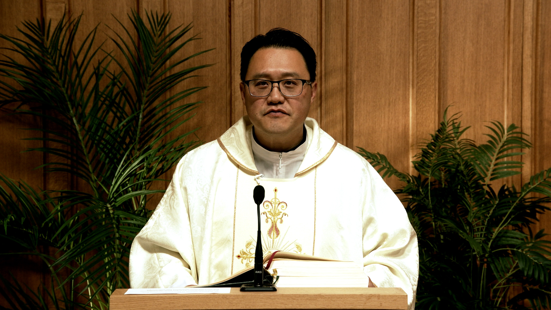 Daily TV Mass July 29, 2026