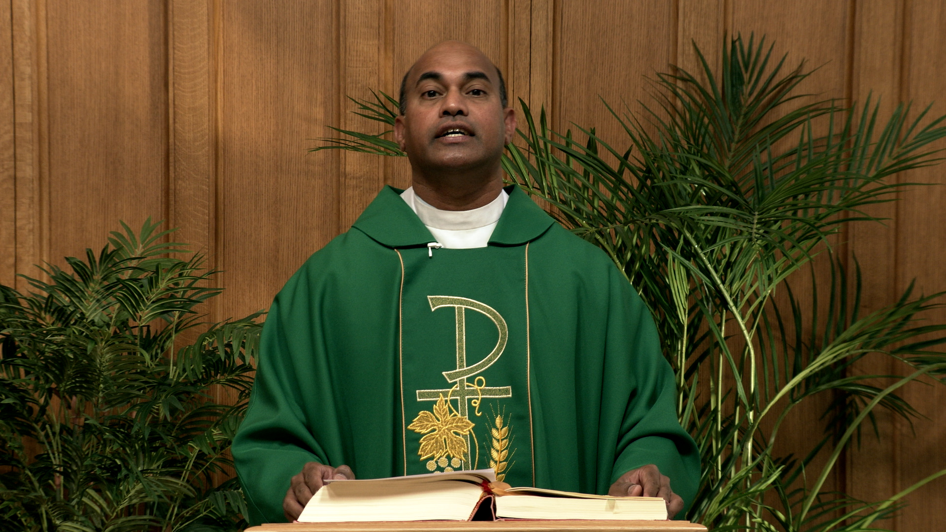 Daily TV Mass June 17, 2026