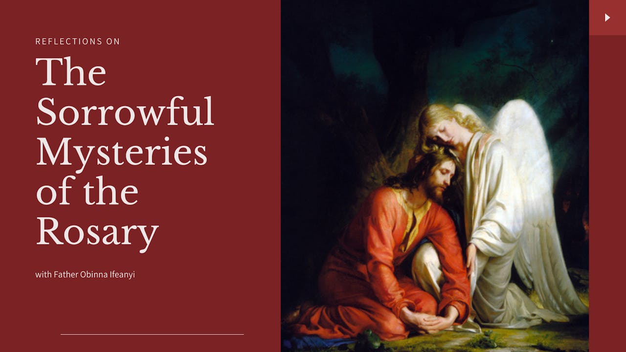 The Sorrowful Mysteries of the Rosary Book Daily TV Mass Warming