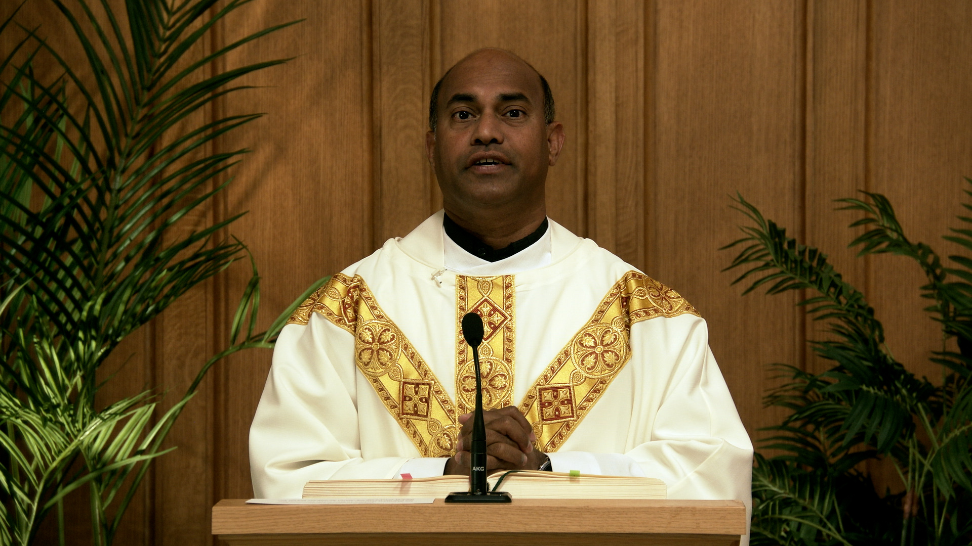Daily TV Mass August 12, 2026