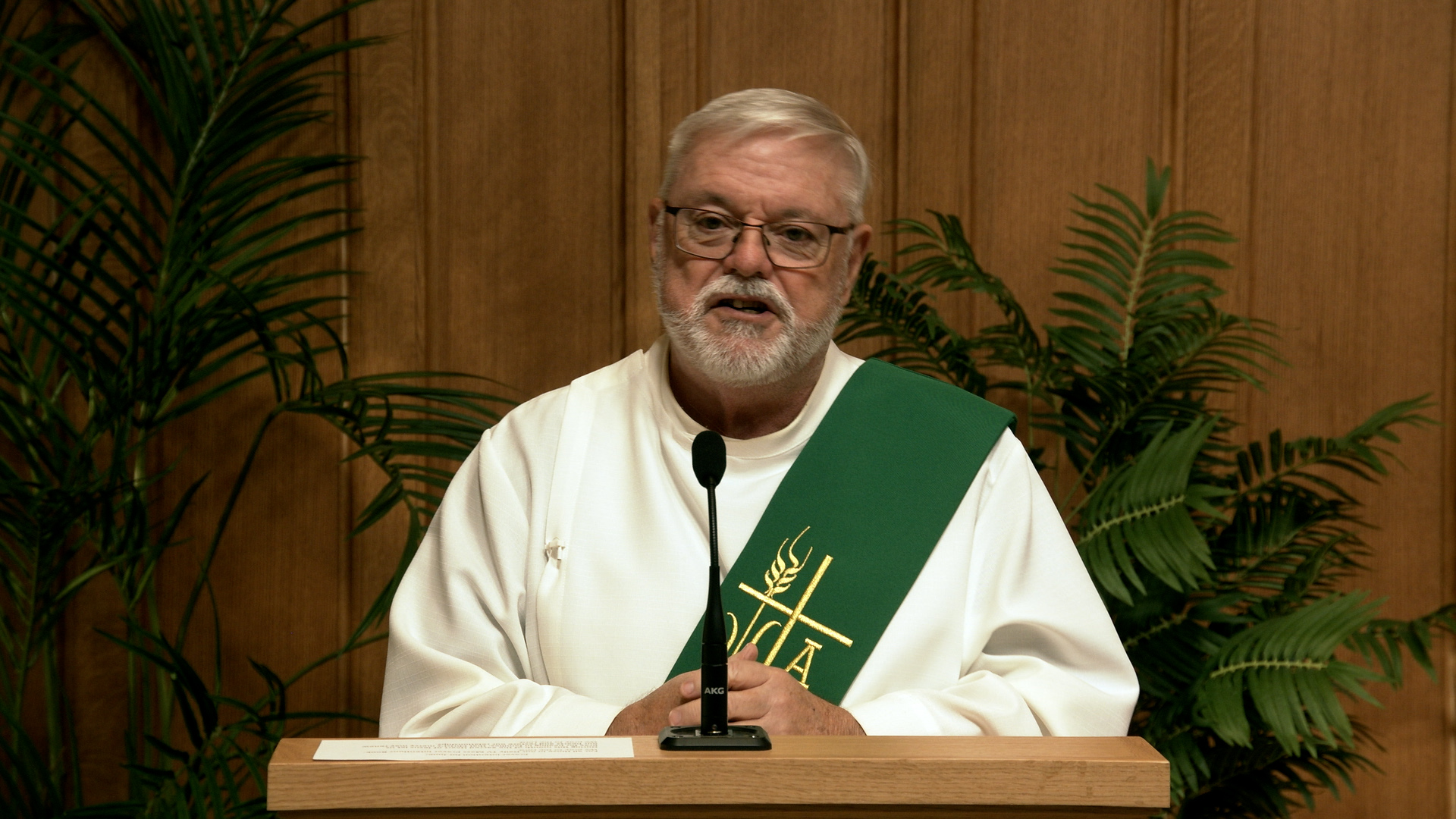 Daily TV Mass June 02, 2026