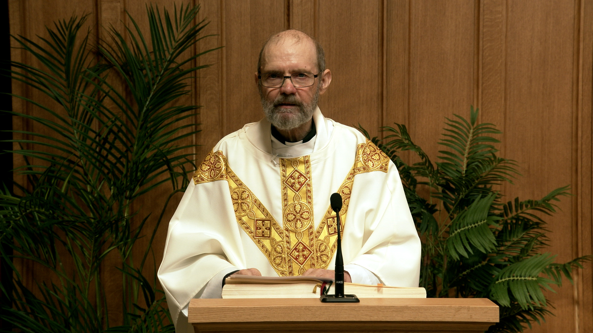 Daily TV Mass June  09, 2026