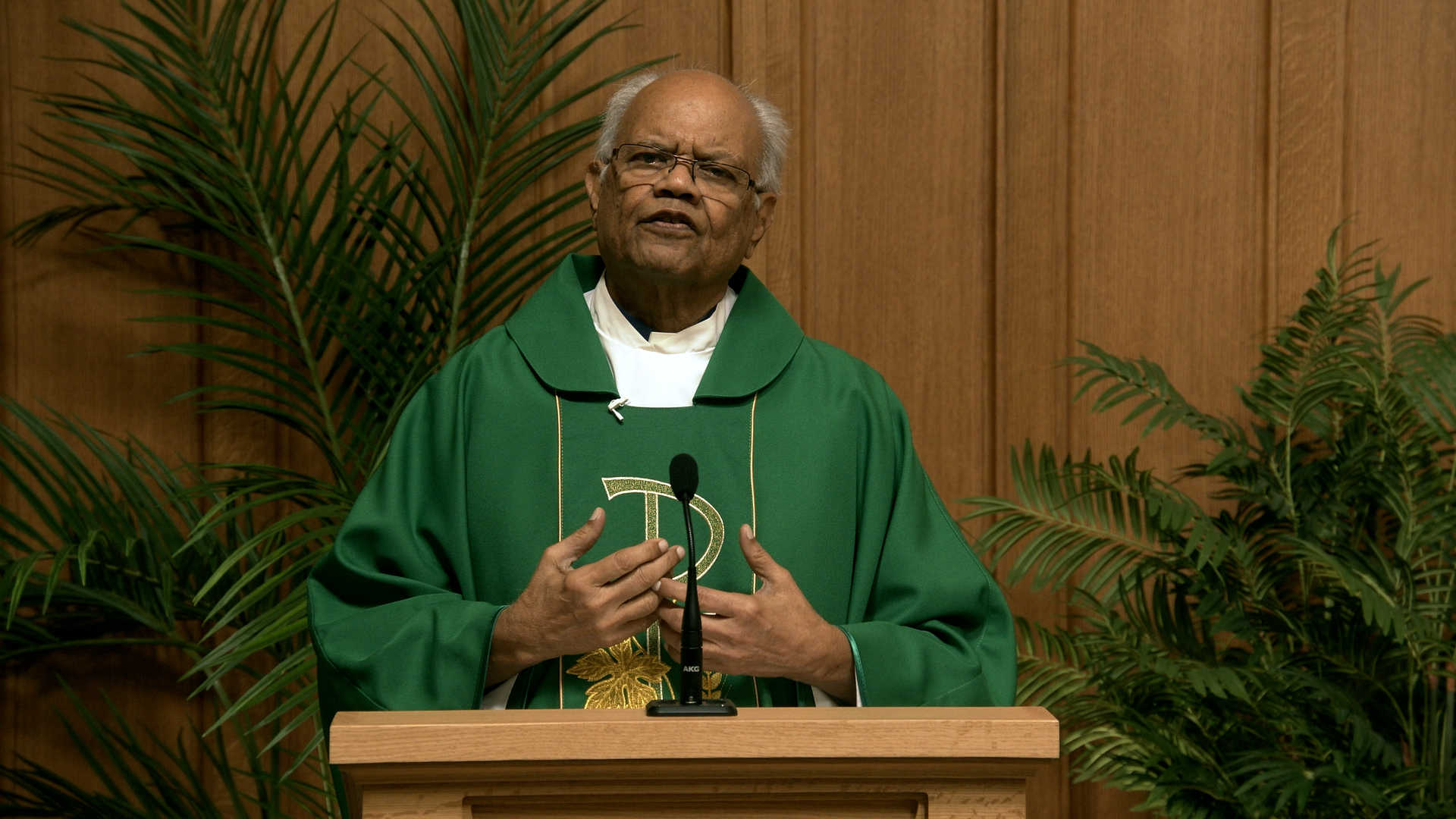Daily TV Mass July 10, 2026