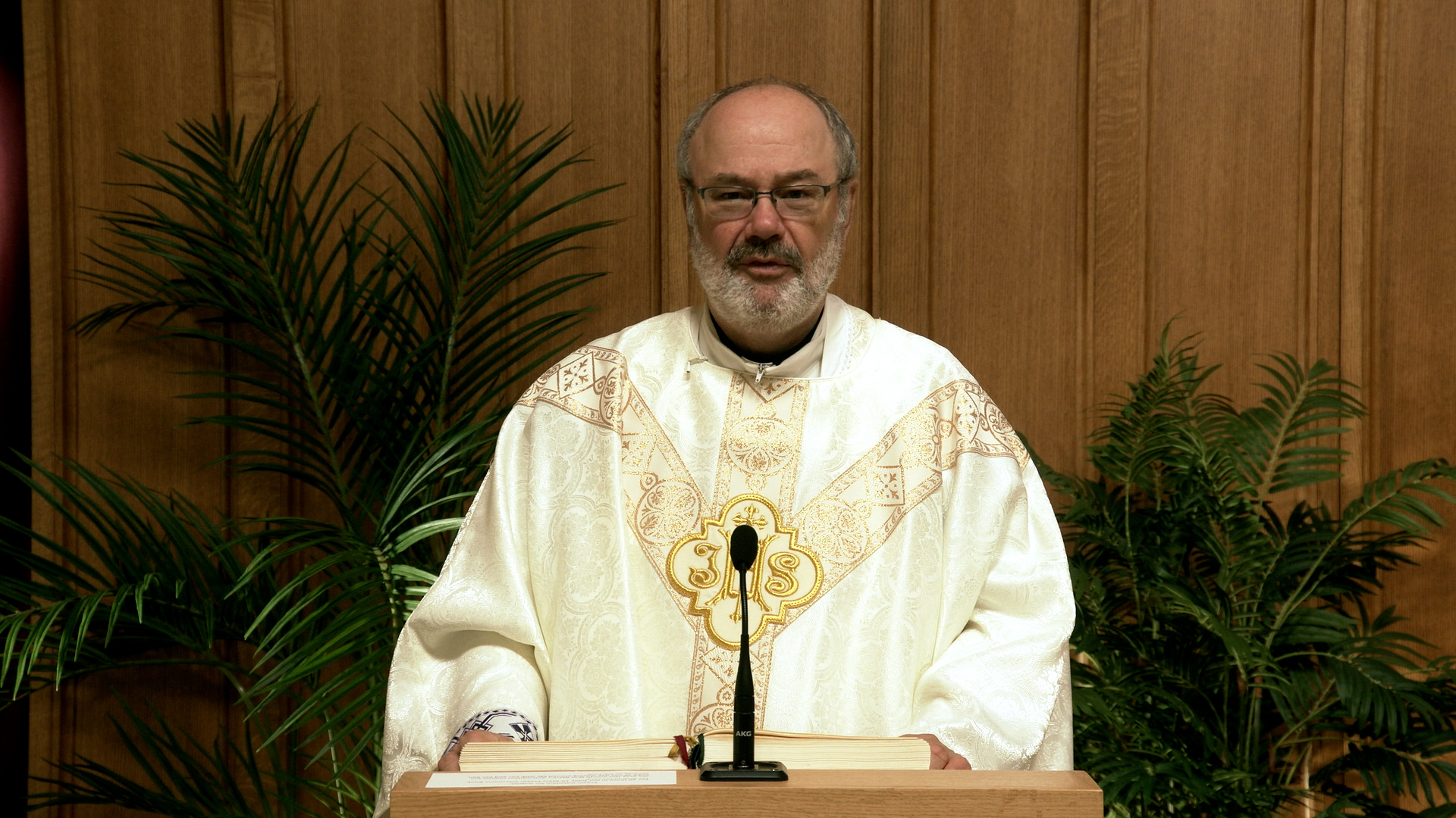 Daily TV Mass August 11, 2026