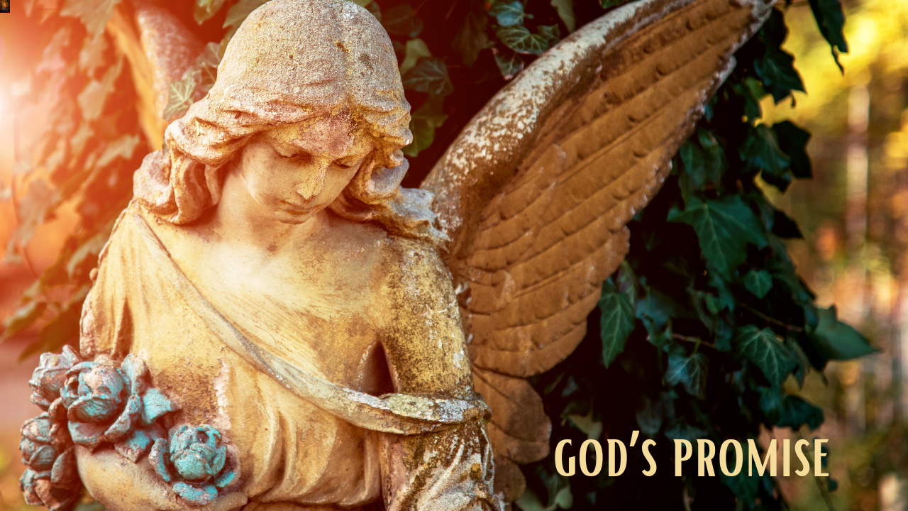 God's Promise...November 2023