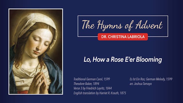 The Hymns of Advent: Lo How a Rose E'...