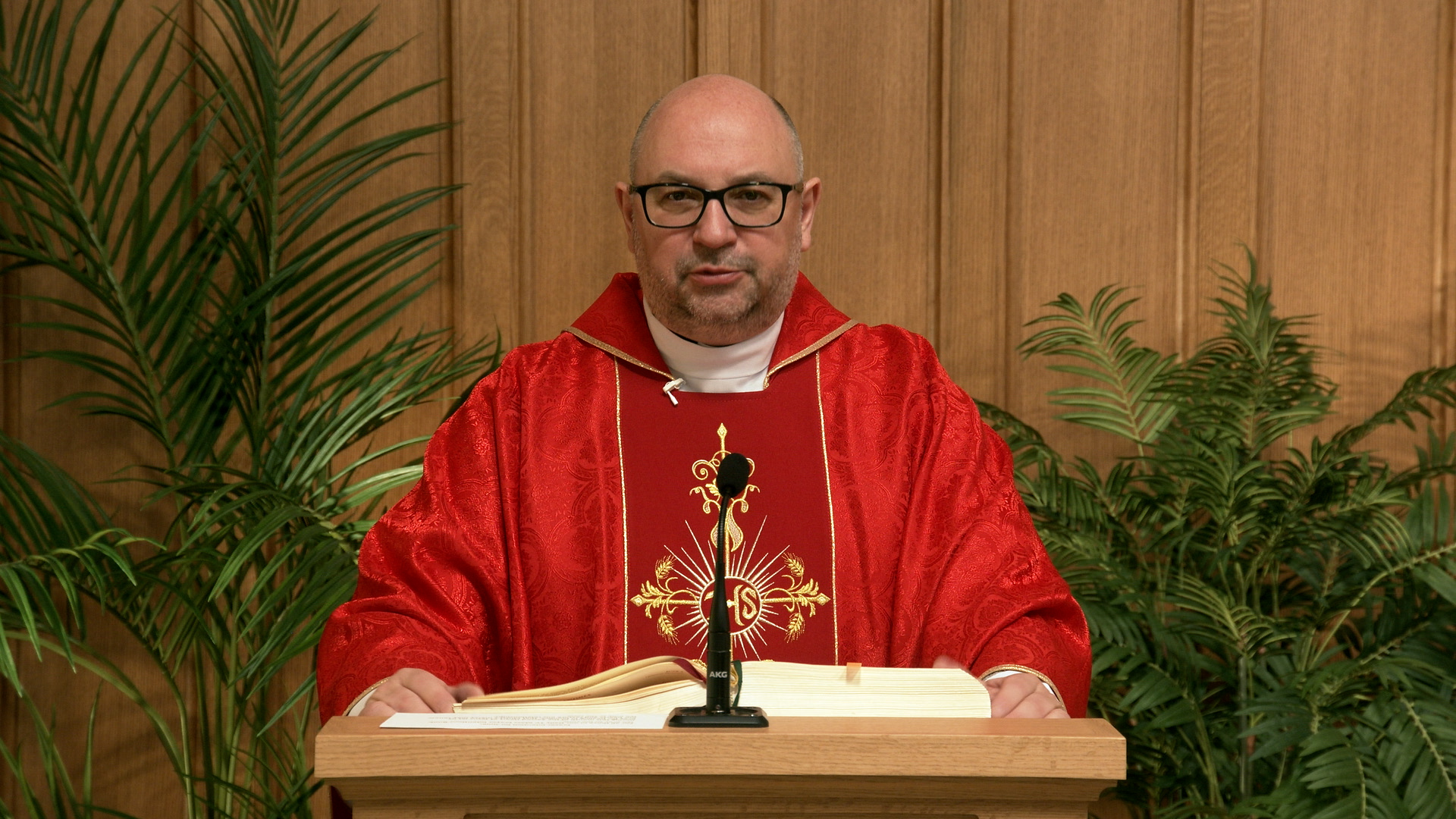 Daily TV Mass June 11, 2026