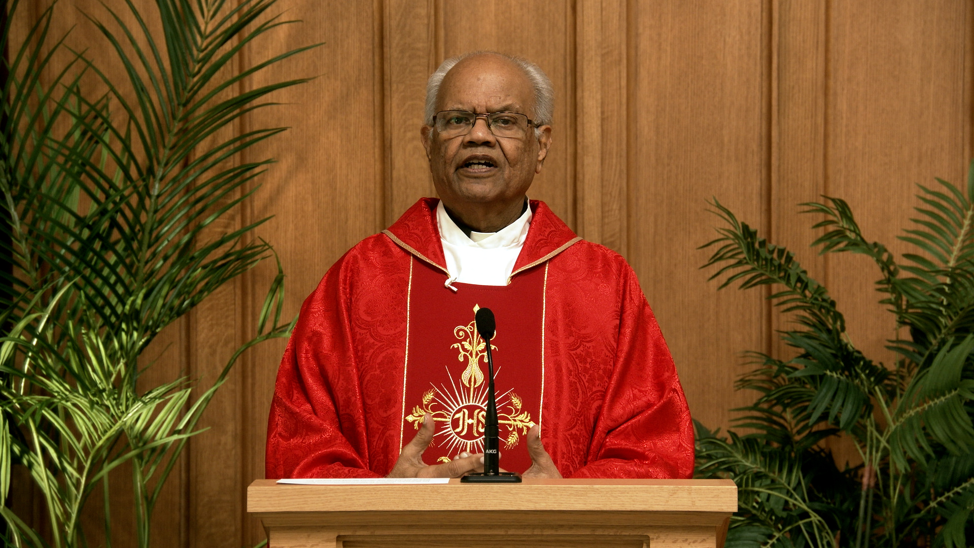 Daily TV Mass August 14, 2026