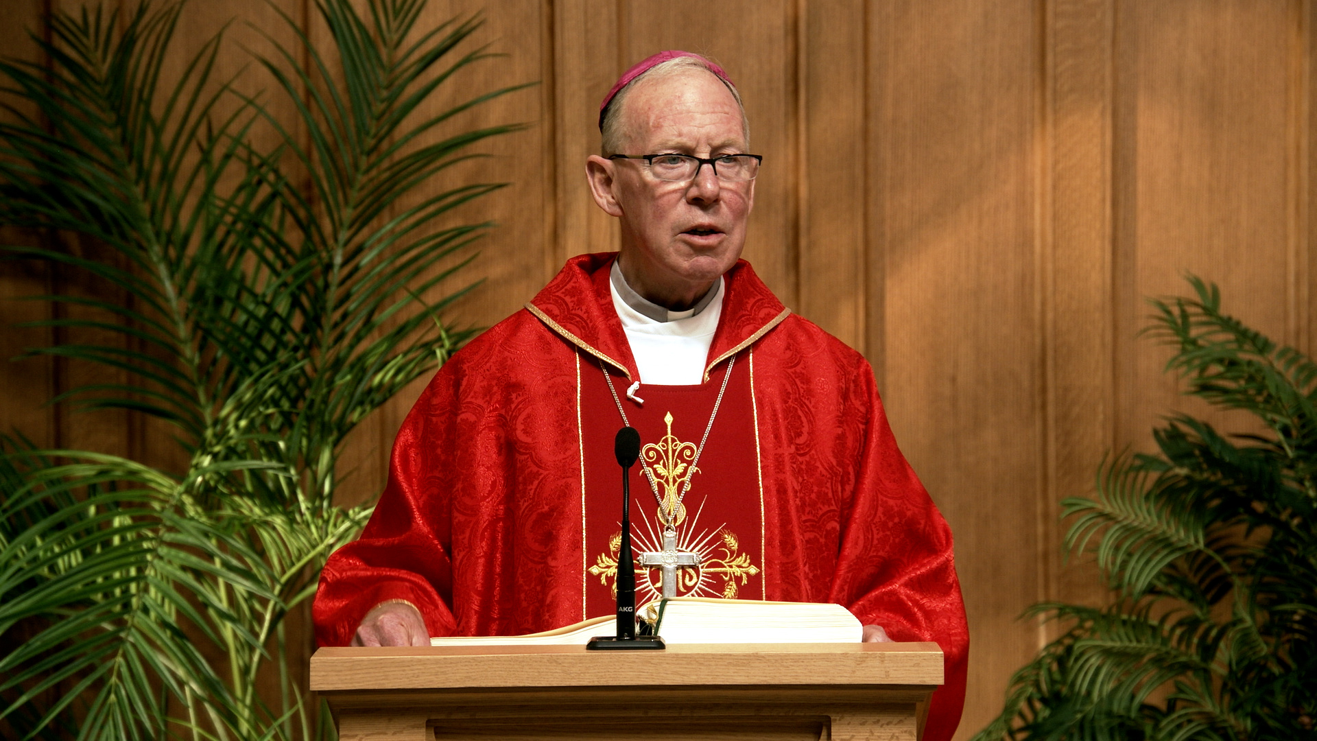 Daily TV Mass August 10, 2026
