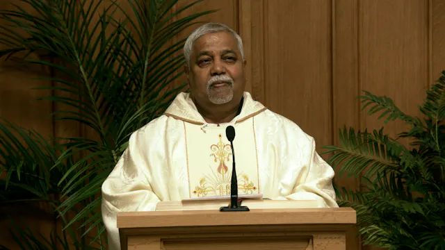 Daily TV Mass July 15, 2026