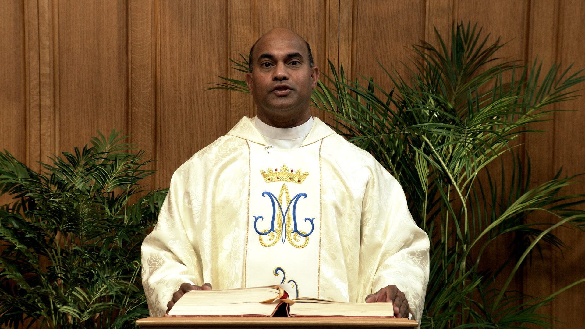 Daily TV Mass June 20, 2026