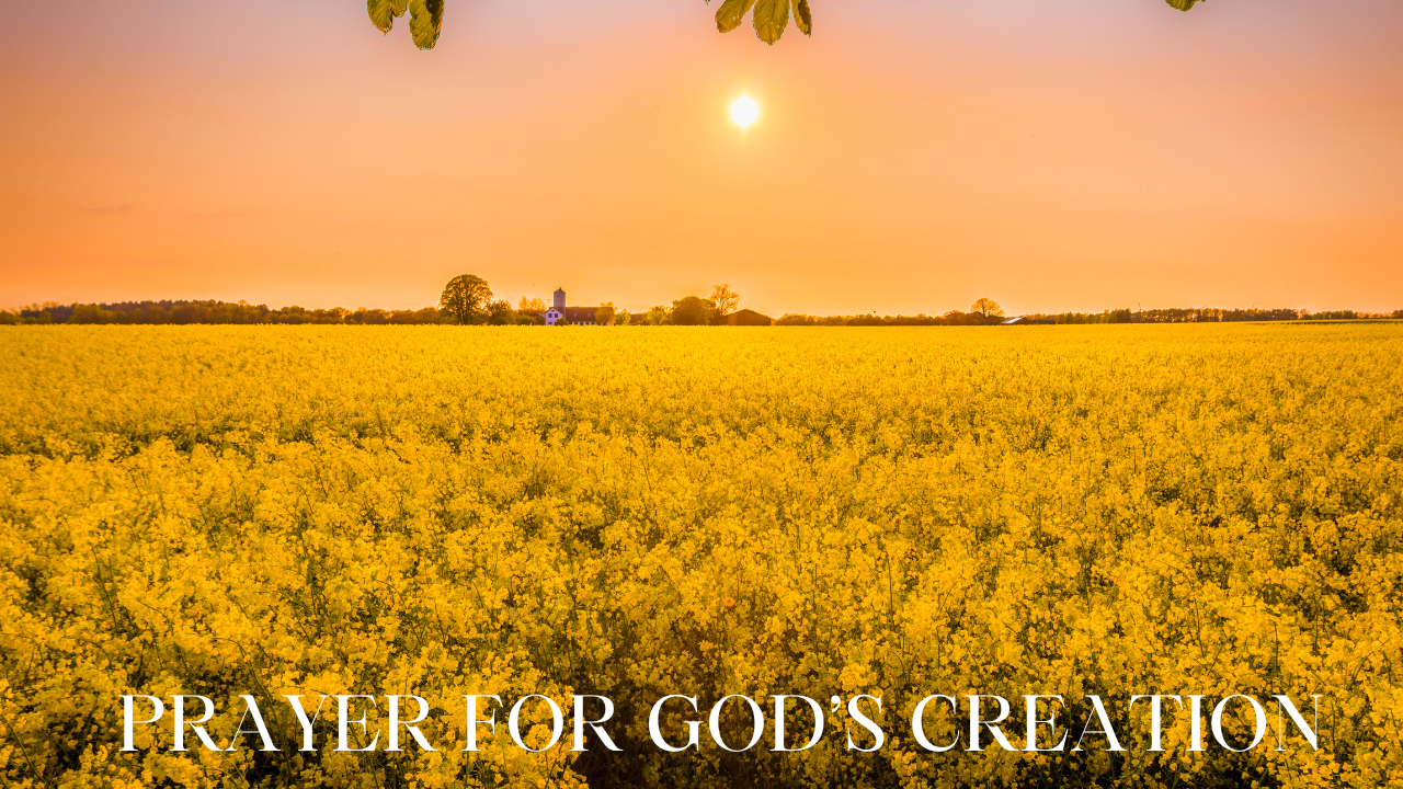 Prayer for God's Creation
