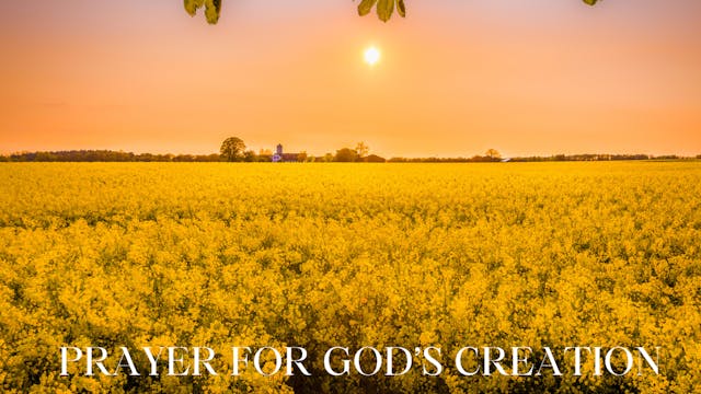 Prayer for God's Creation
