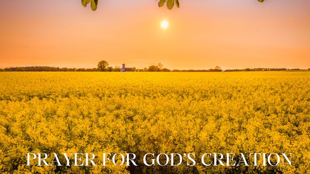 Prayer for God's Creation