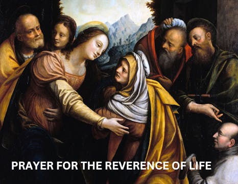 Prayer for the Reverence of Life