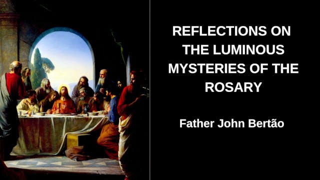 Reflections on The Luminous Mysteries...