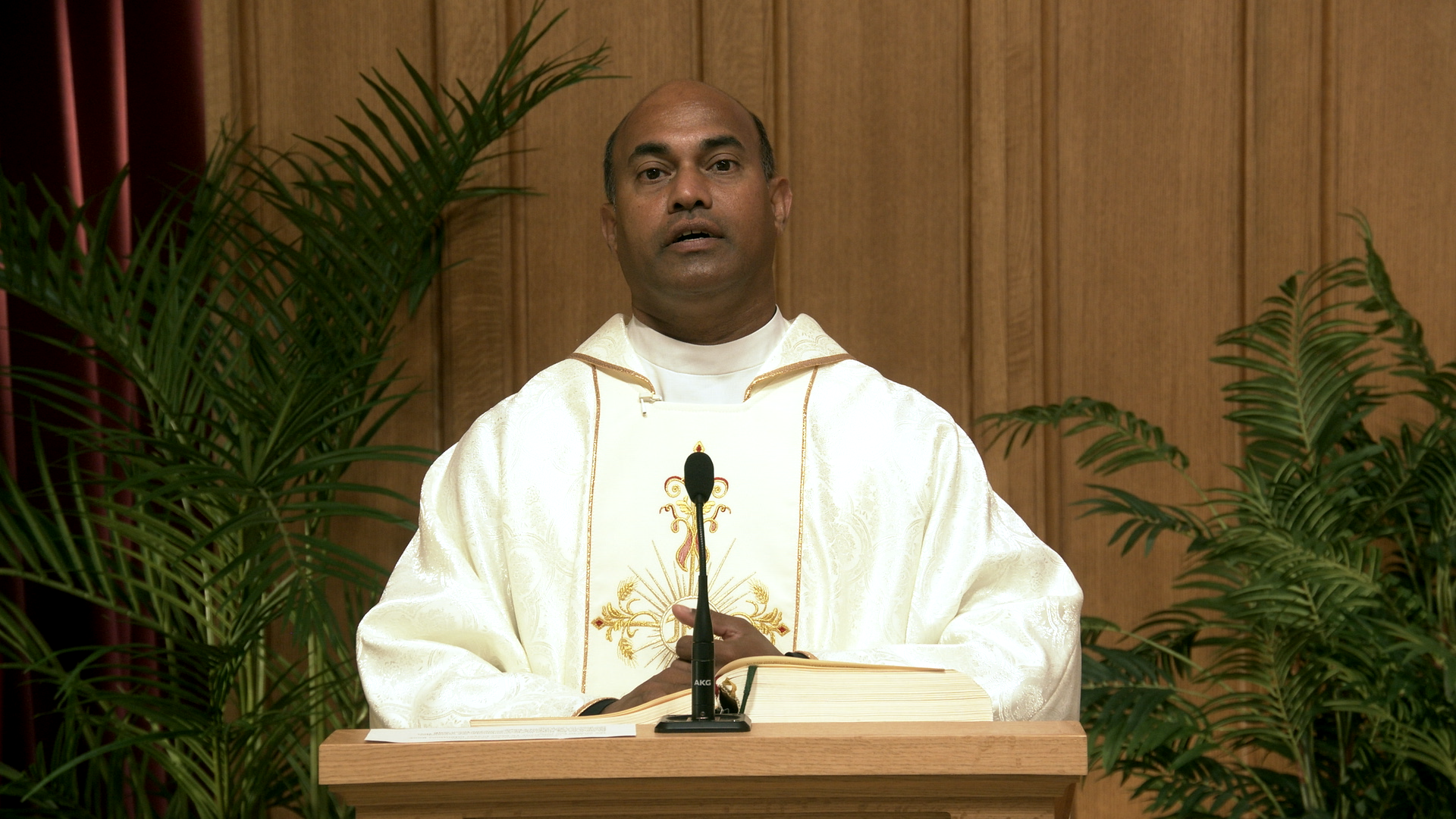 Daily TV Mass September 29, 2026