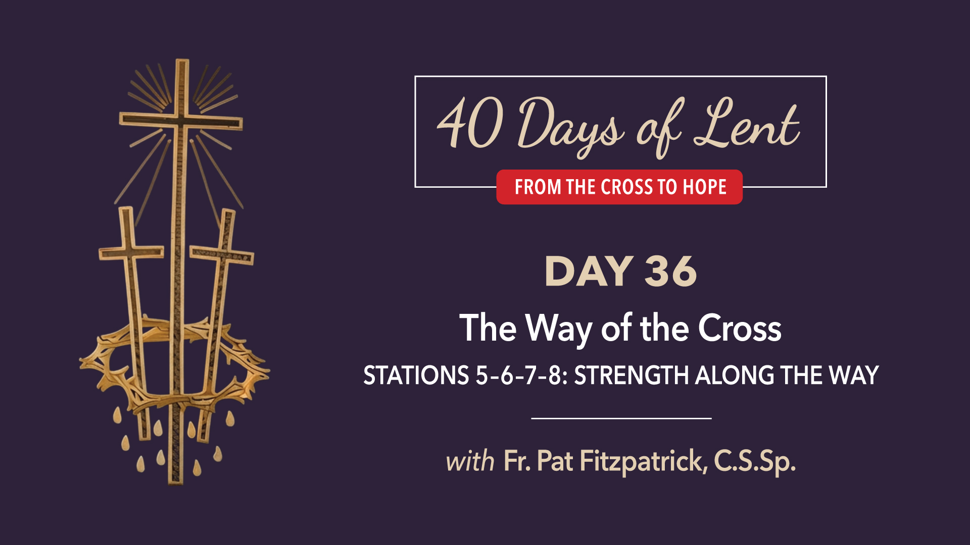 Lenten Retreat Day 36: The Way of the Cross Stations 5-8