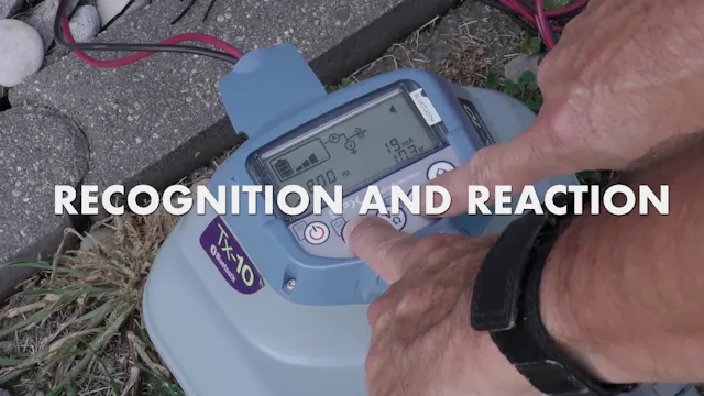 13. Recognition and Reaction