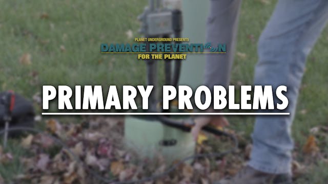 10. Primary Problems