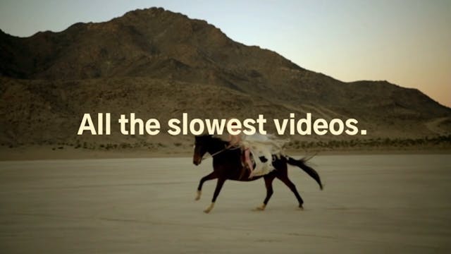Horsepower