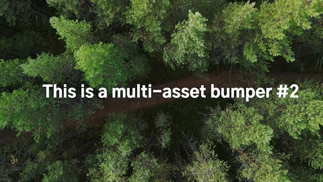 Multi asset 2