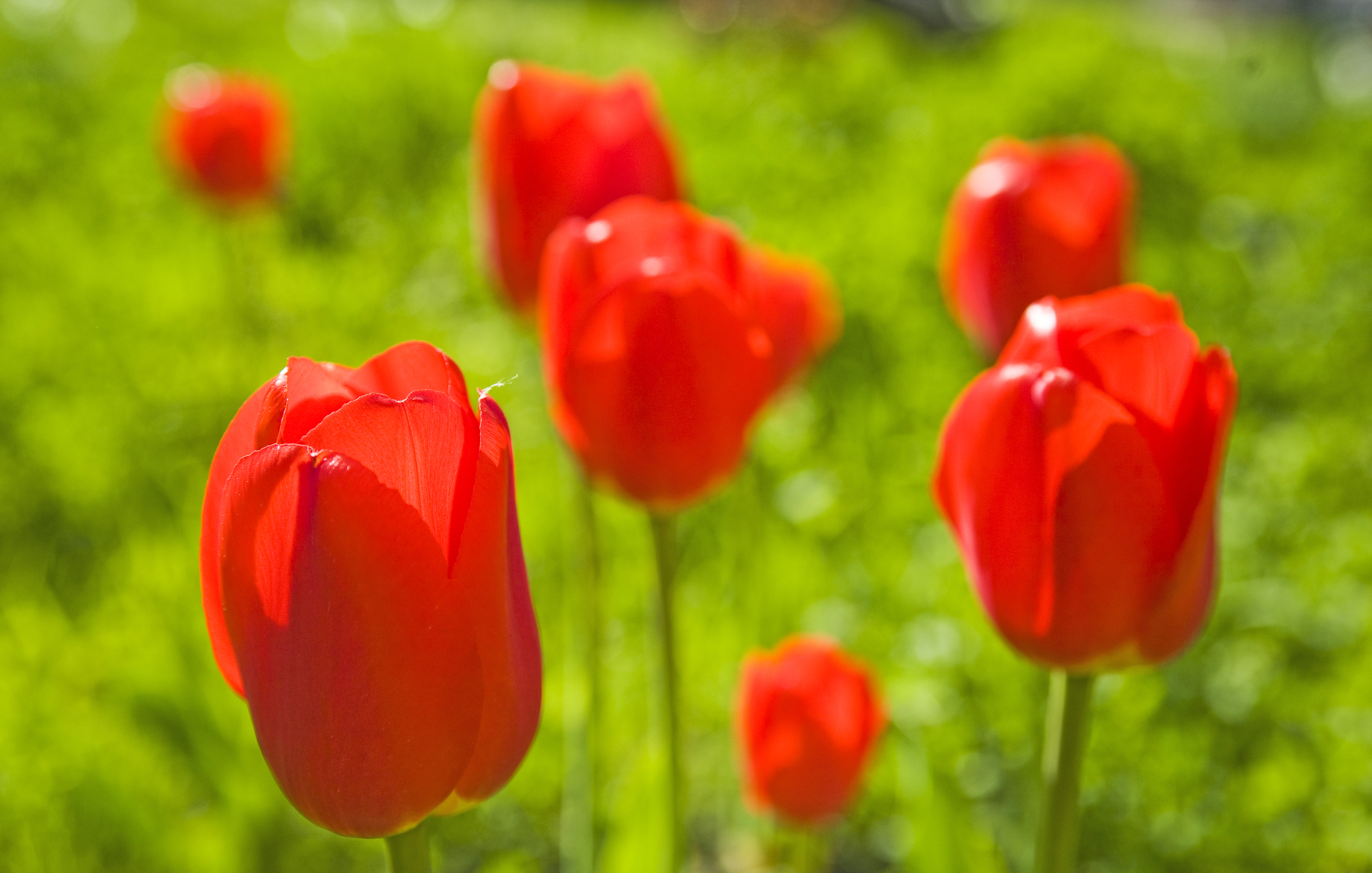 "We'll Stand Together" (Power Up #4)