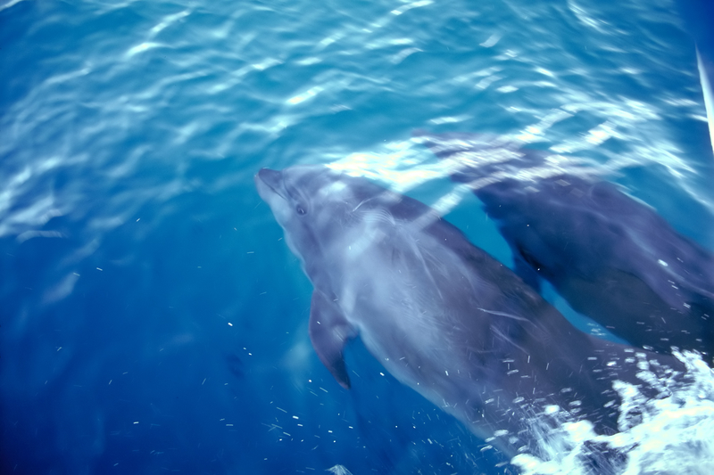 Open to your Love with Tierra