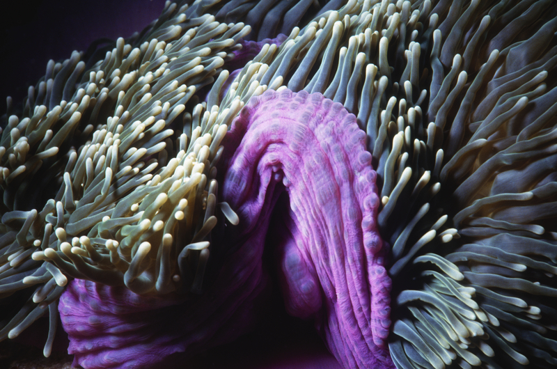 "Embody Your Genius"