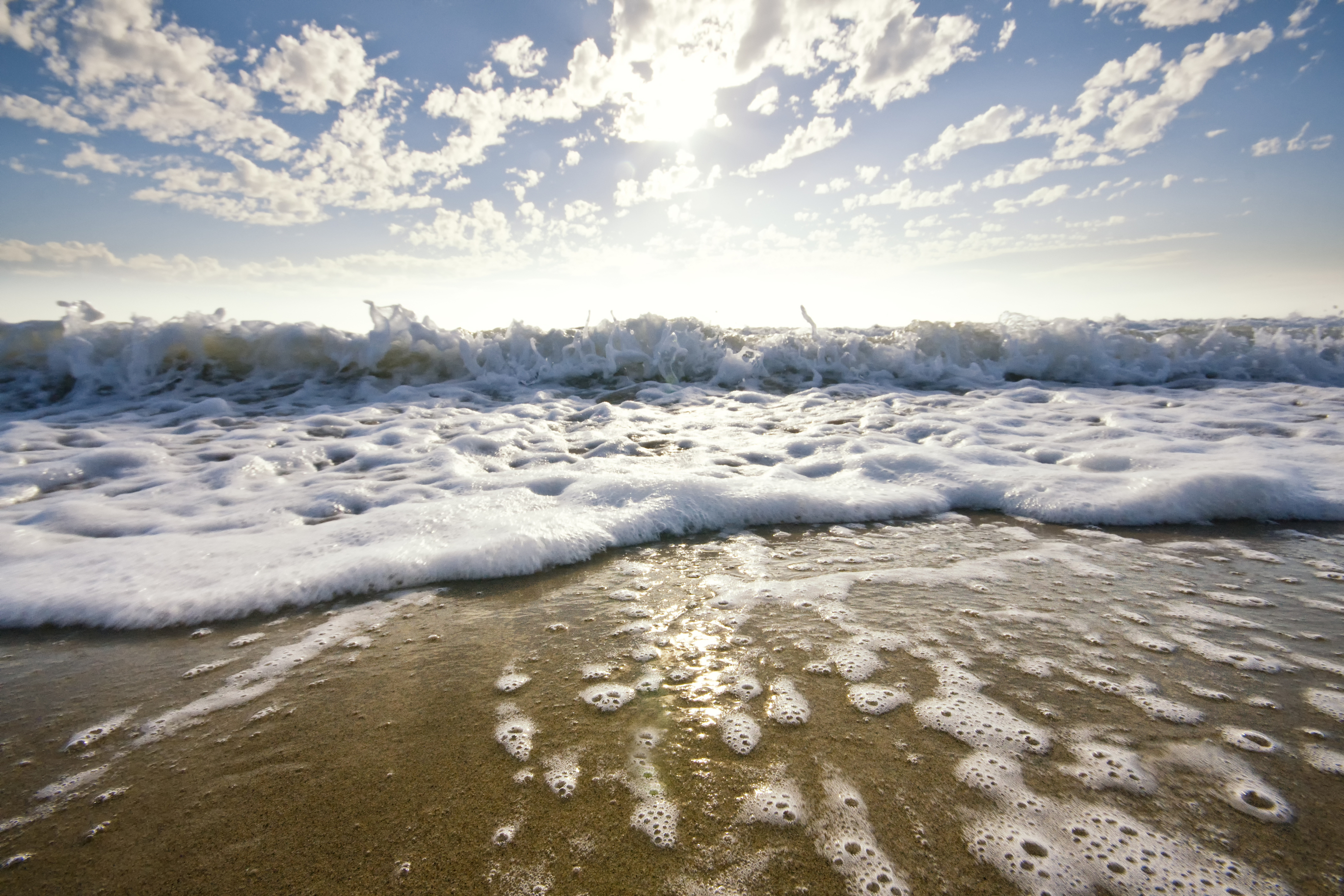 “Connect to your Nature” (Flow Easy #7)