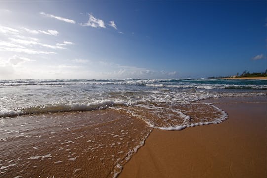 “Water Moves Steadily" (Flow Easy #6) 
