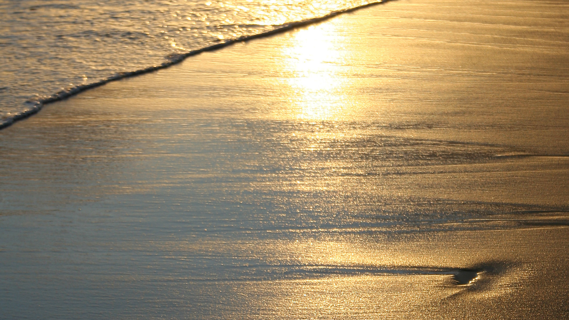 It's Safe To Feel (Movement Meditation) 