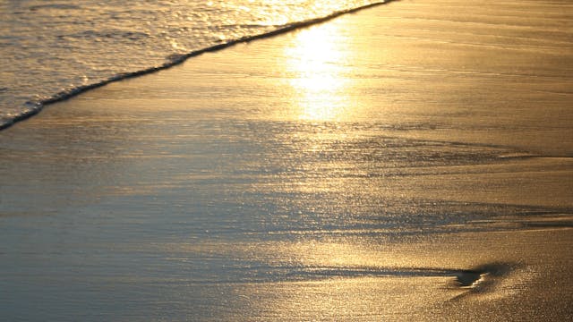 It's Safe To Feel (Movement Meditation) 
