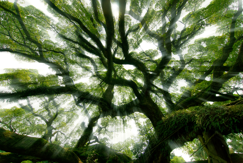 "360 Degree Partnership" with Tierra