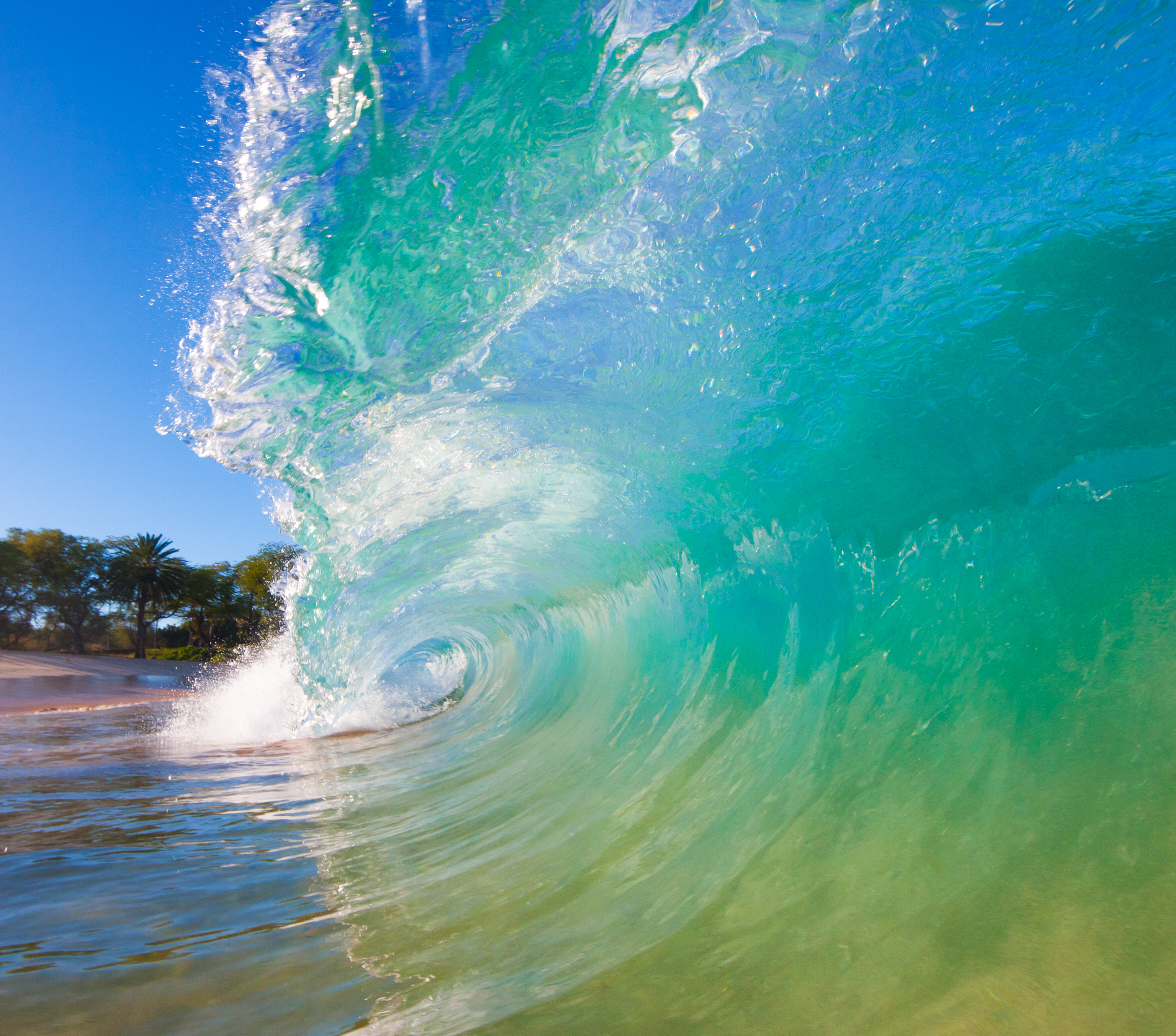 Awaken Your Power #12 