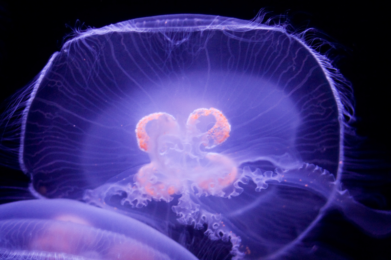 “Trust” (Flow Easy #4)