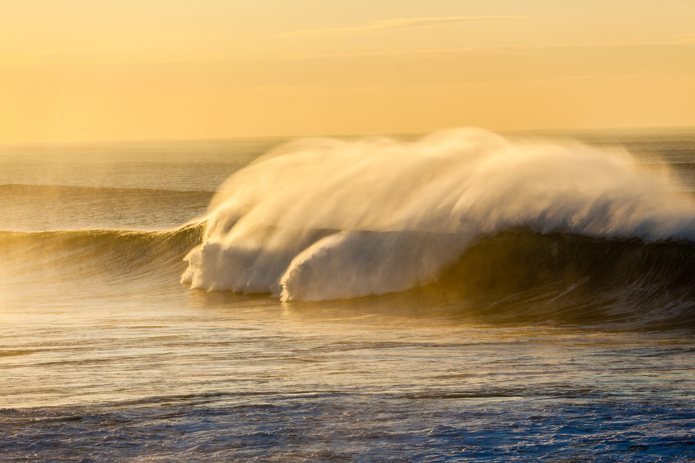 "You Are Living Earth"  Feet, Legs, Belly, Courage (Mini Wave)