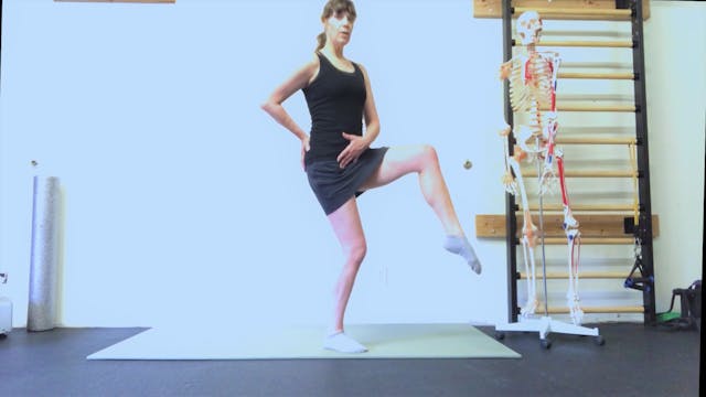 Ankle, Knee, and Hip: Moving with Sta...