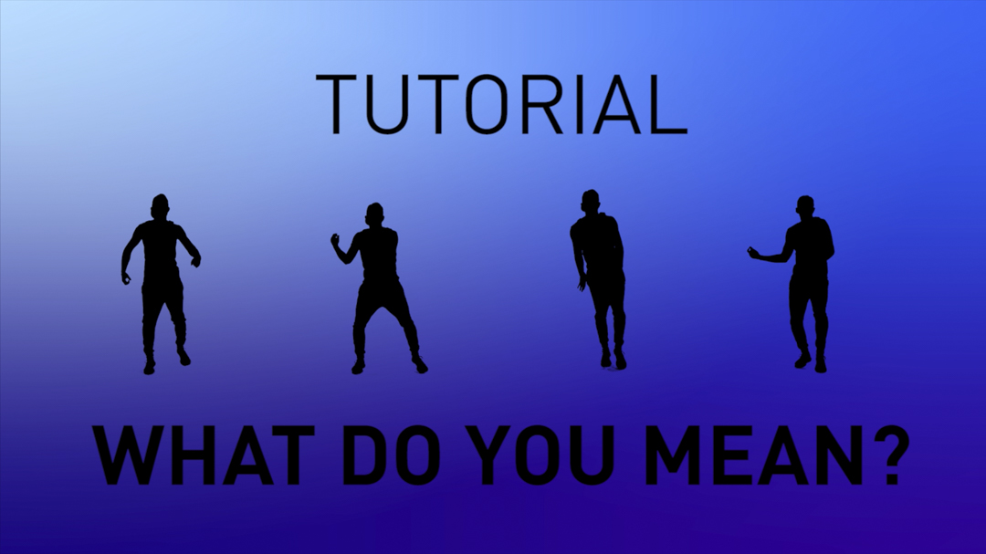 What Do You Mean? - Tutorial