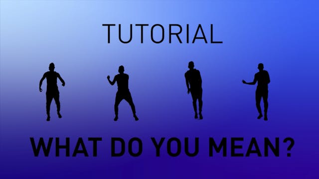 What Do You Mean? - Tutorial