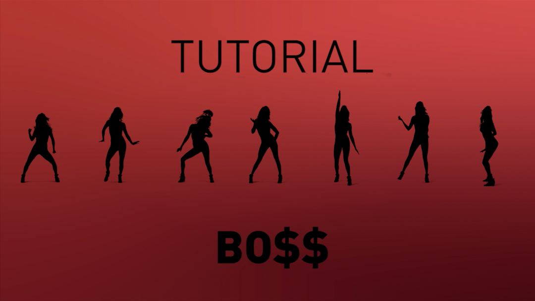 BO$$ - Tutorial