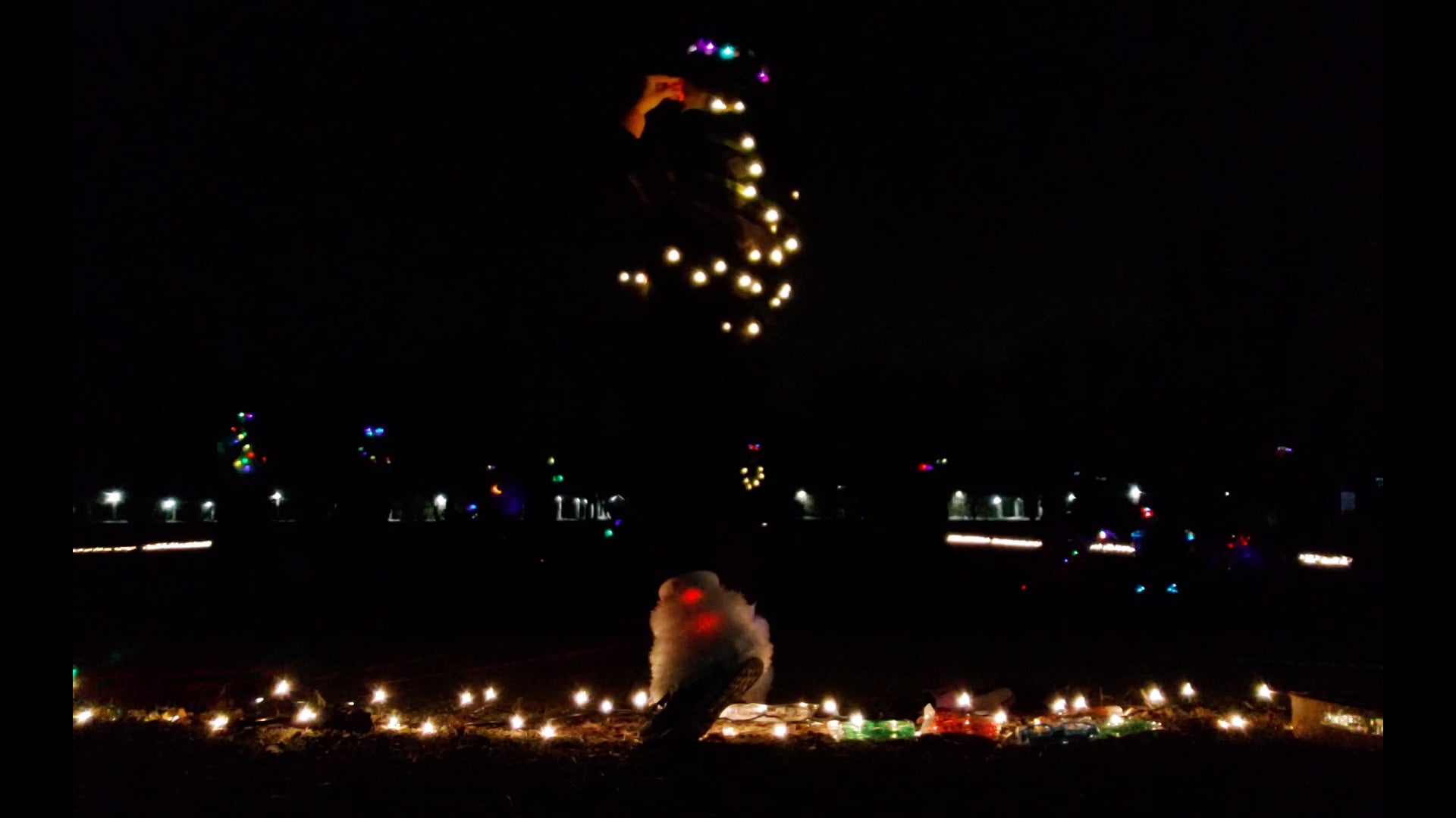 Part 3: Light Up the New Year! (Just the toast and goodbye!) 12/29/20