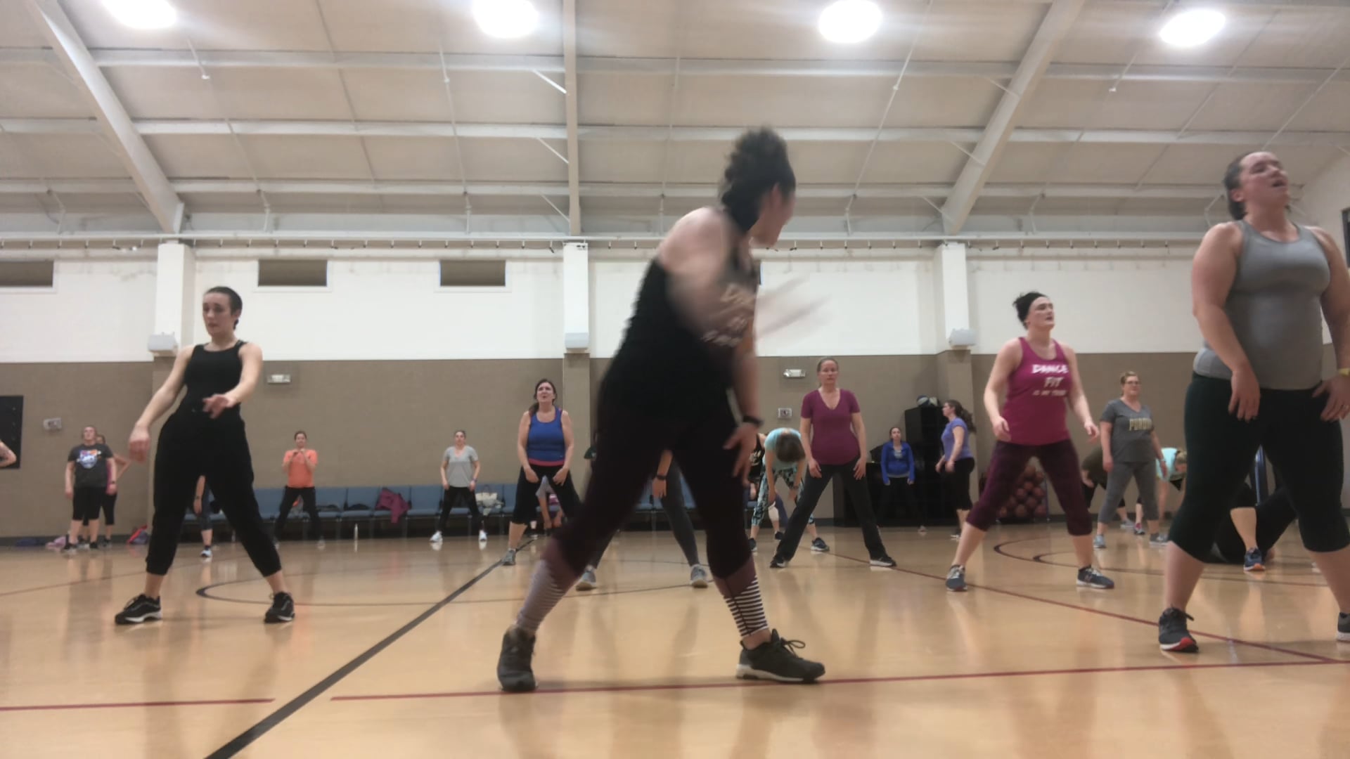 "I Can't Stop" by Flux Pavillion (1 min Squats)