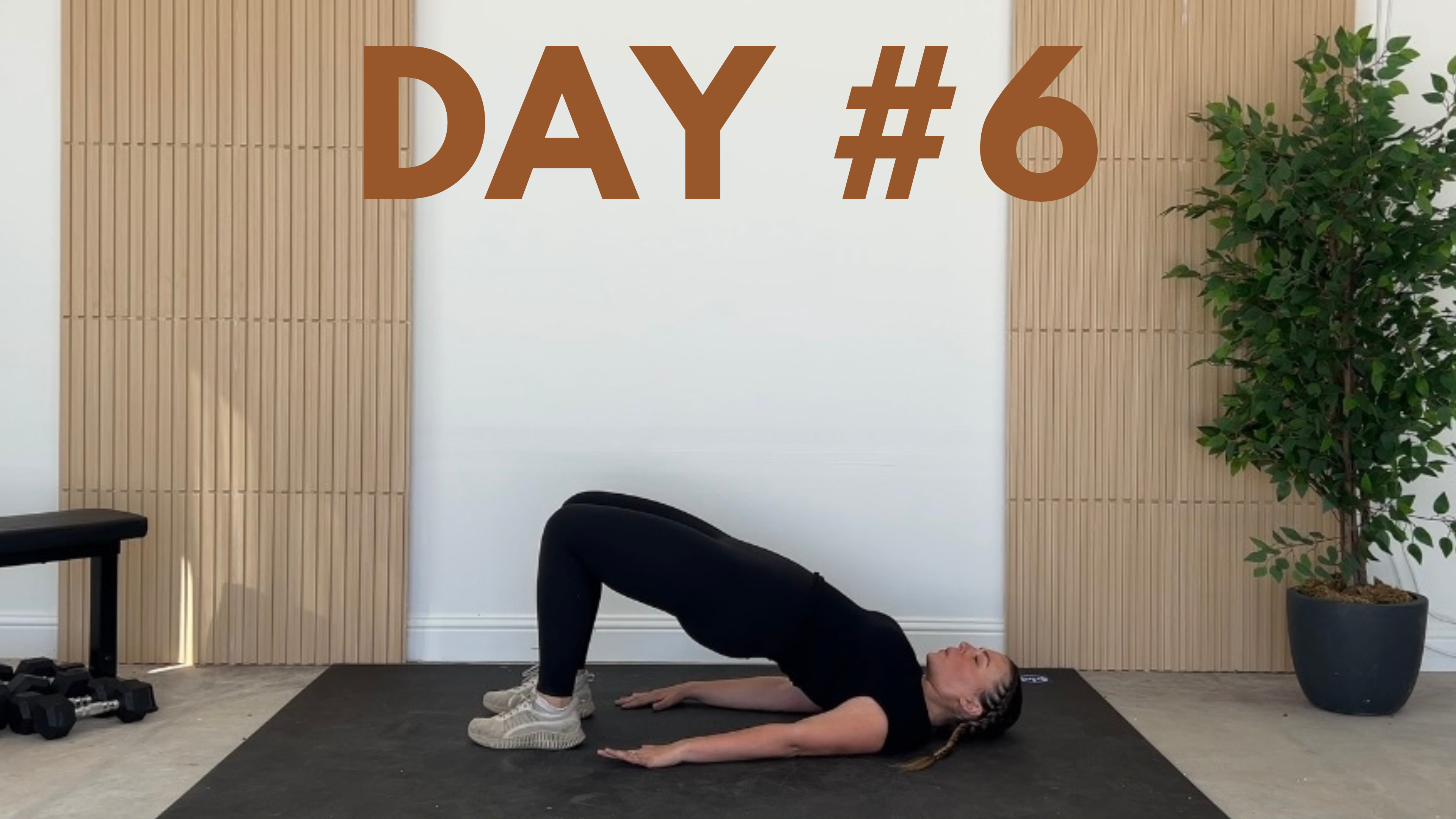 Day #6 - Low-Intensity Cardio